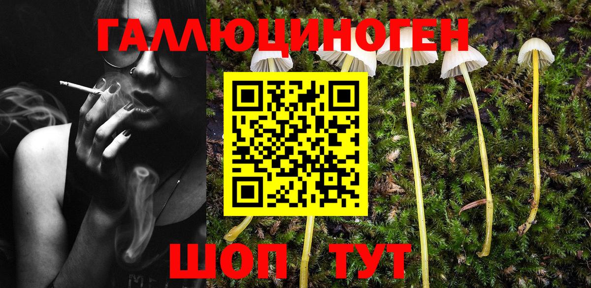 Псилоцибиновые грибы Magic Shrooms  Псилоцибиновые грибы ЛСД  наркотики  Вход с VPN  Отрадное 